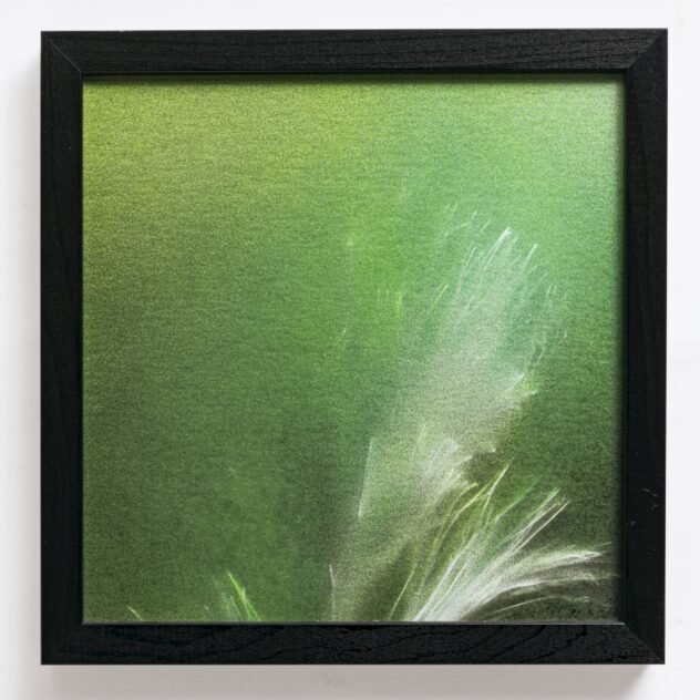 Auktion2024_Isensee_46276-32