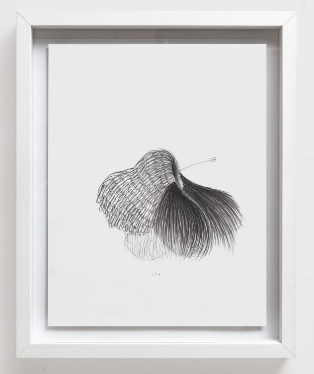 Auktion2024_Pfeifer_46276-22